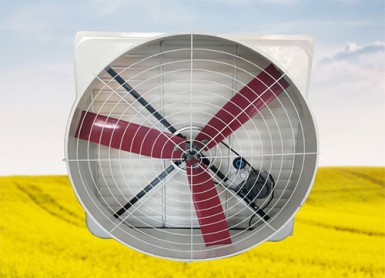 50 inch glass Steel Fan