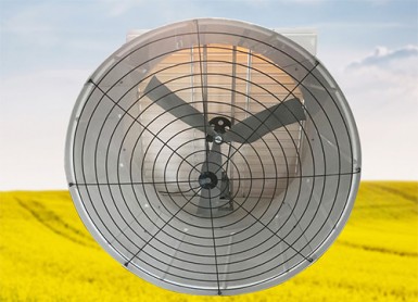 51 inch glass Steel Fan